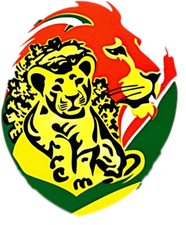 Zambezi Organization